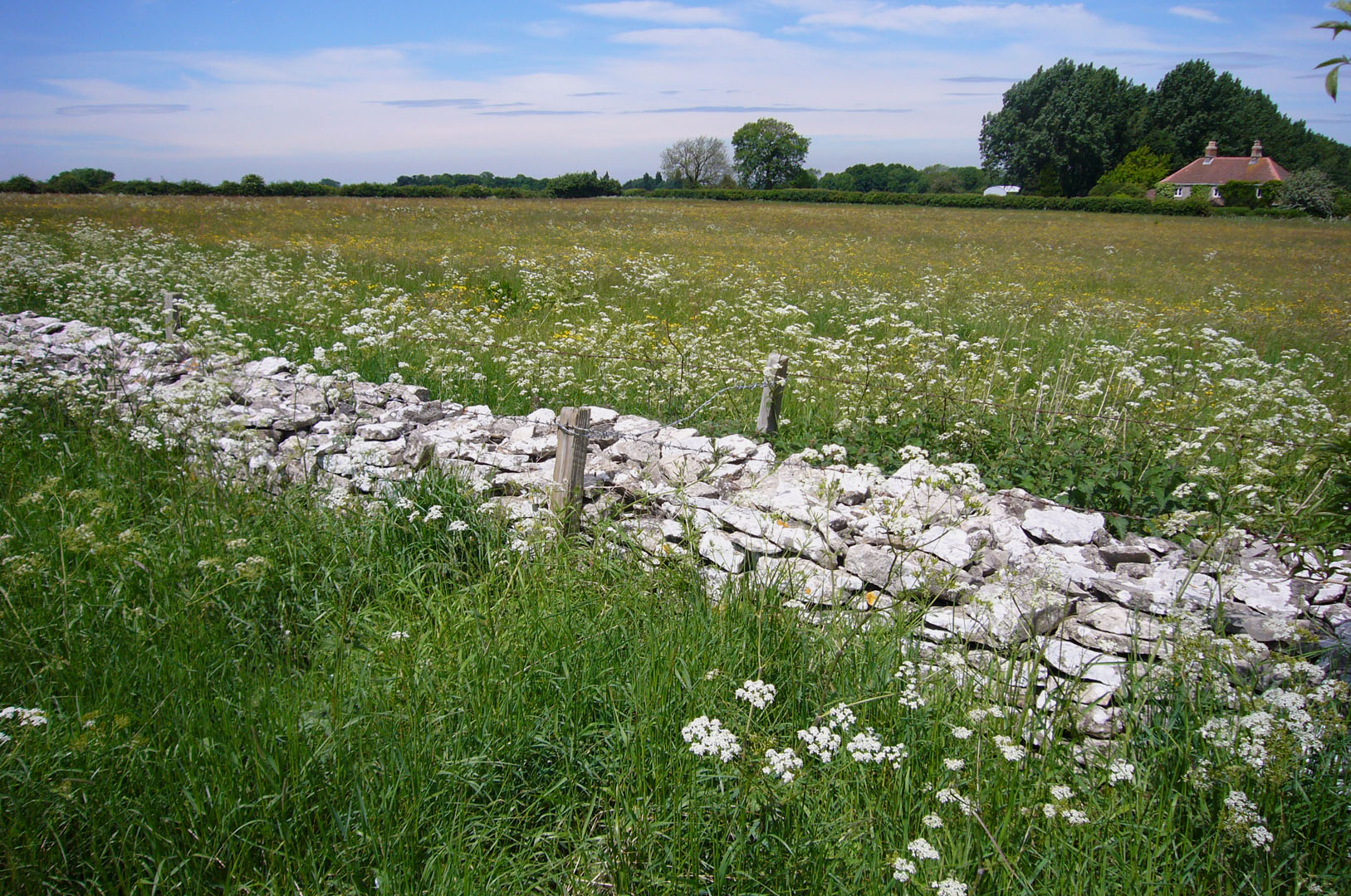 Meadowlands Calonder Landscape Studio