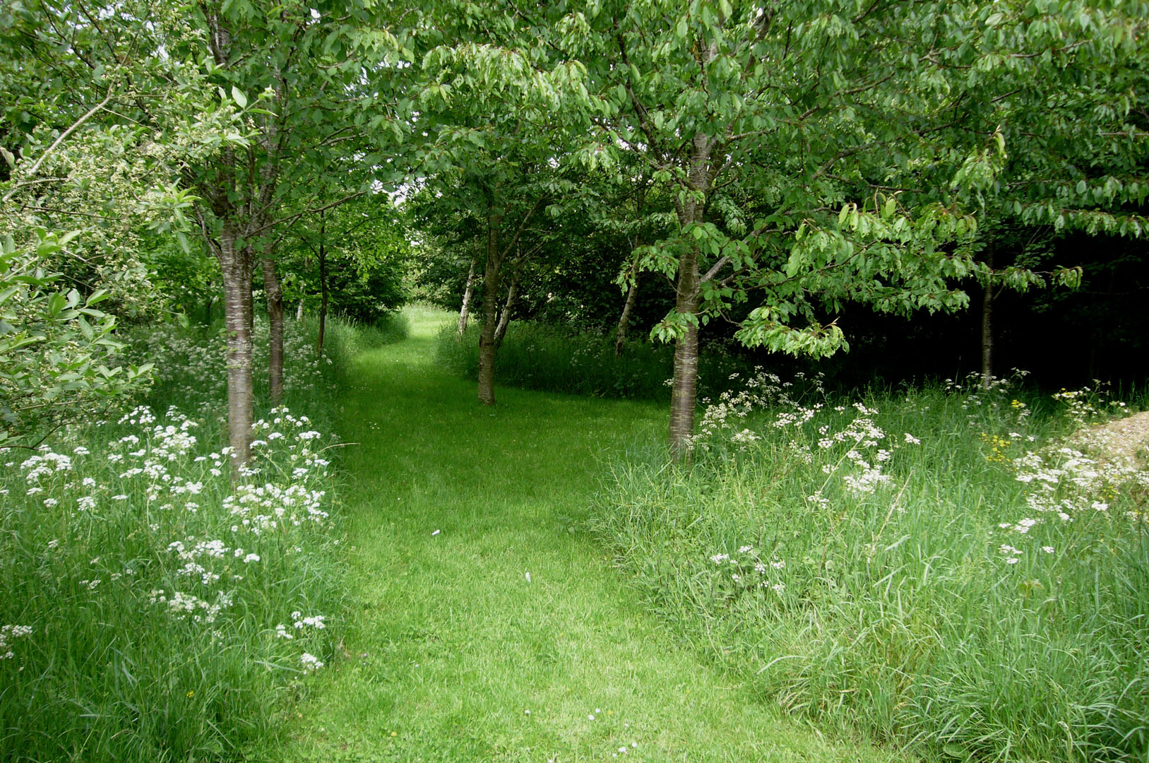 Meadowlands Calonder Landscape Studio